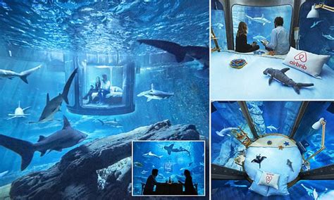 10 faqs (frequently asked questions) 10.1 q1. Airbnb launches its first underwater bedroom where guests