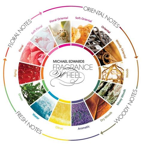 Scent Mapping Diagrams And Aroma Wheels Fragrances Perfume Perfume