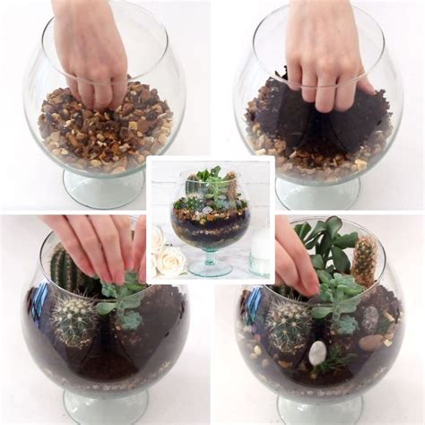 Un cactus à besoin d'une grande charge de soleil pour pousser. 1001 + raisons de faire un terrarium extraordinaire | Mini ...