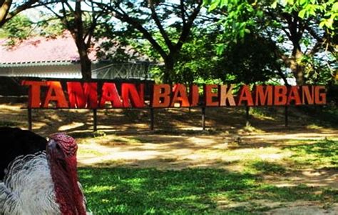 Jadwal imsakiyah 1441 h/2020 m. Mengenal Pesona Taman Balekambang Lebih Dekat