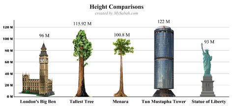The Tallest Tropical Tree In The World Updated