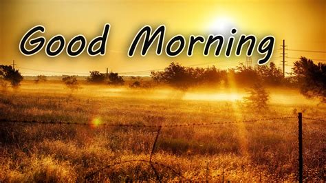 Good morning america is an american morning television show that is broadcast on abc. Good Morning Sunrise Pictures, Photos, and Images for ...