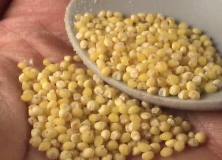 Diminutive of casse, from provençal cassa 'pan') is a variety of a large, deep pan or bowl used for cooking a variety of dishes in the oven. Health in Diversity - SHARAN