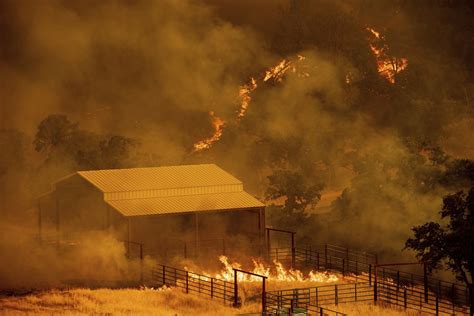 Northern California Wildfire More Evacuations Ordered Curbed Sf