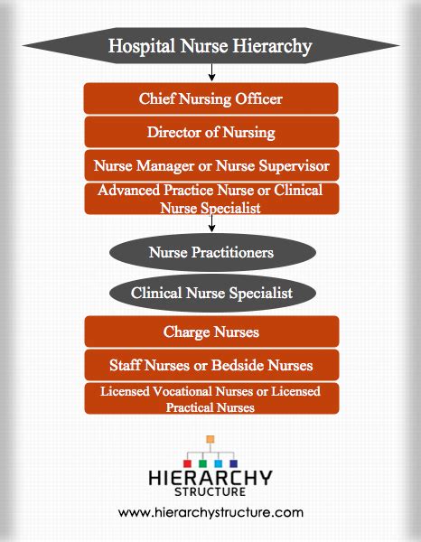 Nursing Hierarchy In A Hospital Hierarchy Structure