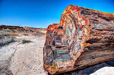 Visit Arizonas Petrified Forest National Park Boing Boing