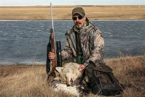 Predator Hunting With 17 Caliber Rifle Pros And Cons Petersens Hunting