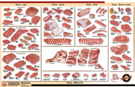 Primal Sub Primal And Secondary Cuts Meat Cutting And Processing