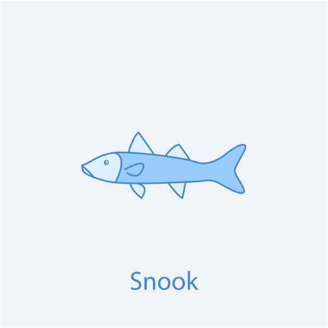 Drawing Of Snook Illustrations Royalty Free Vector Graphics And Clip Art