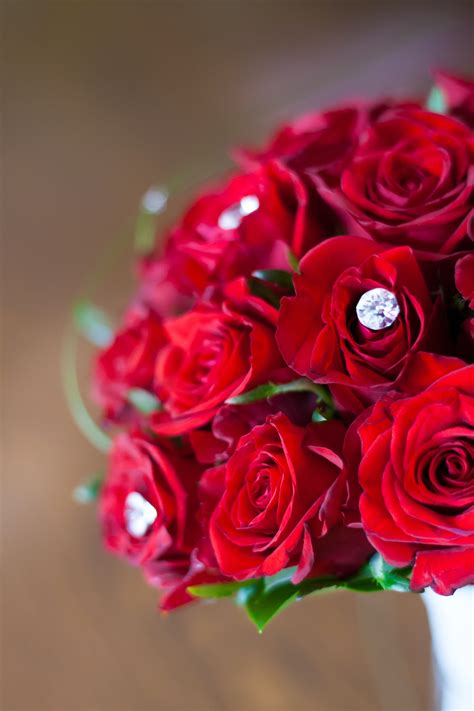Wedding bouquet with pink roses. Red roses: bridal bouquet · Free Stock Photo
