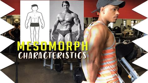 Mesomorph Characteristics What You Must Know Youtube