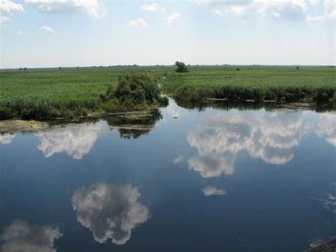 Jun 04, 2021 · durante di un reunion informal awe mainta na hato, sra. Duna delta - tó , horgásztó , horgászvíz részletes adatai