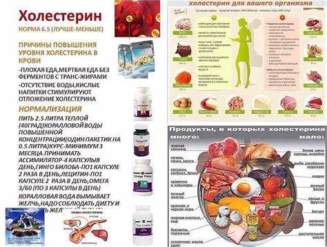 Высокий холестерин у мужчин диета