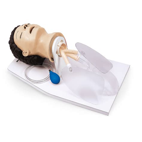 Airway Management Trainer 1005596 W44018 Lifeform Lf03601u