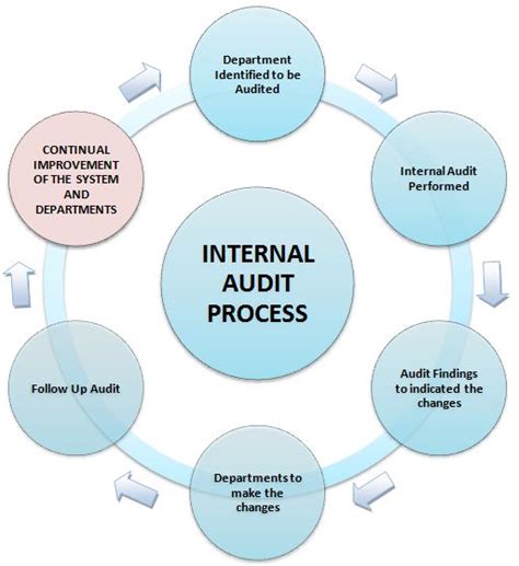 Nic Instruments Engineering Pty Ltd Internal Audit Process