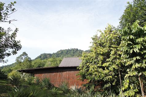 This is collected by the longhouse's committee (not us) as a village community fund that will be used to maintain the annah rais longhouse original structure & to preserve the bidayuh's cultures. Annah Rais Hot Springs - Asian Itinerary