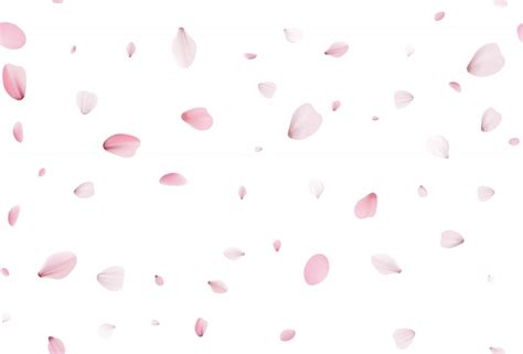 Premium Vector Seamless Sakura Petals Falling Realistic Cherry Petals