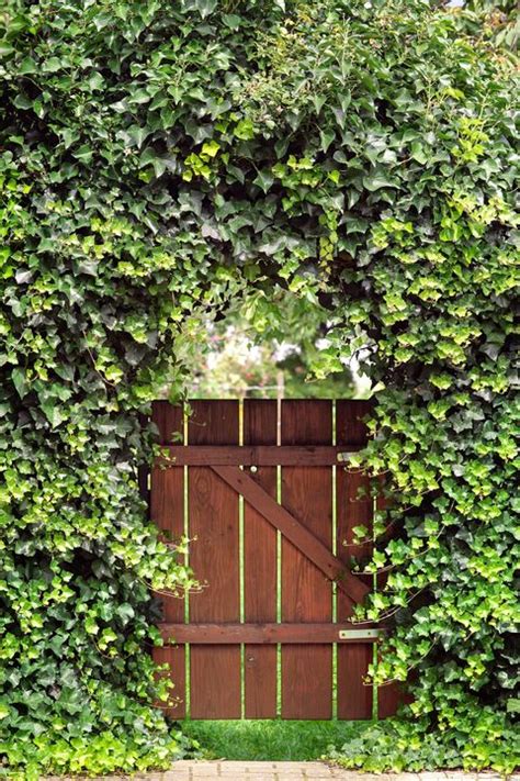 Enter your email address to receive alerts when we have new listings available for garden arch with gate. 17 Best Garden Gates - Ideas for Beautiful Garden Gates