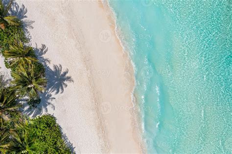 Aerial Top View On Sand Beach Tropical Beach With White Sand Turquoise Sea Palm Trees Under