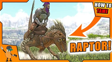 How To Tame A Raptor Ark How To Tame Series Youtube
