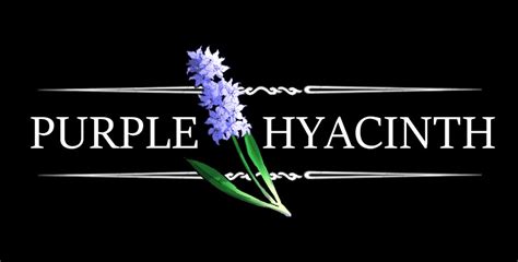 Purple Hyacinth For Those Who Like Some Flirting With Their Murders