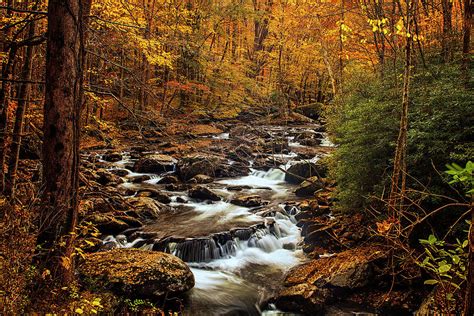 Autumn Stream In The Smokies Photograph By Andrew Soundarajan Fine