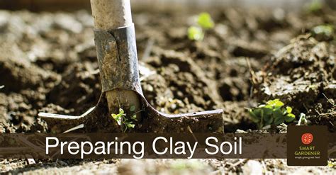 Prepare Clay Soil For Spring Planting Smartgardener Blog
