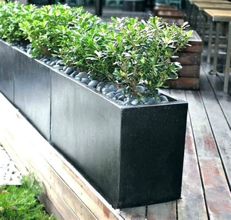 20 Extra Tall Planters For Outside