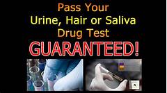 Beat The Odds Proven Strategies To Pass The Tricky Indeed Drug Test