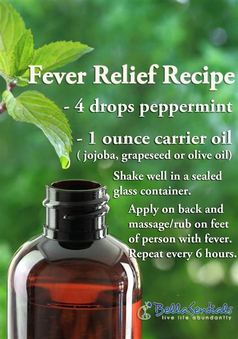 Helpful Techniques For Peppermint Essential Oil Recipes Essential