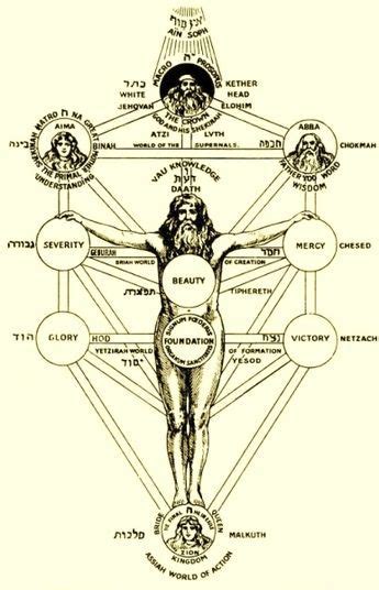 Tree Of Life Is Considered To Be The Microcosm Of The Whole Spiritual
