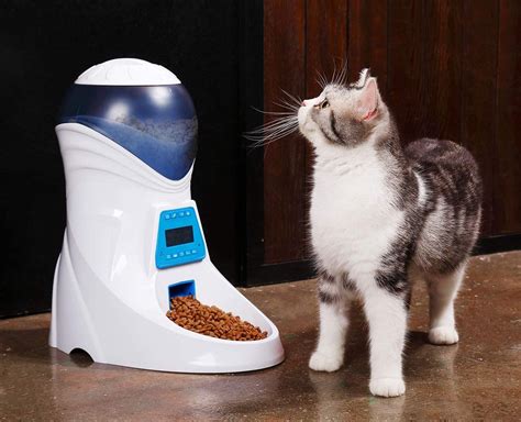 There are 2181 cat feeder for sale on etsy, and they cost $46.28 on average. Top 4 Best Automatic Cat Feeder Cat Food Dispenser Review ...