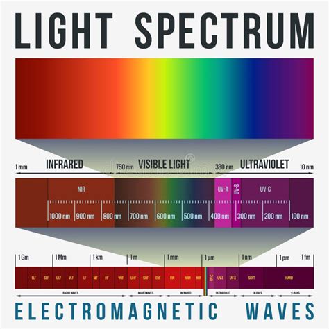 Light Spectrum Infographic Stock Illustration Illustration Of