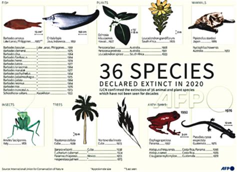 36 Plant Animal Species Declared Extinct In 2020 — Iucn Tribune Online