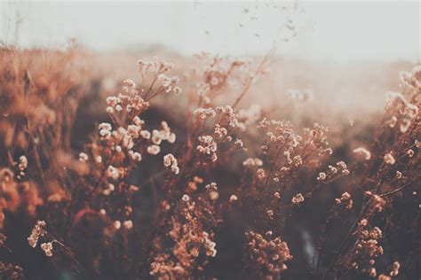 Search your top hd images for your phone, desktop or website. Aesthetic Vintage PC Wallpapers - Wallpaper Cave