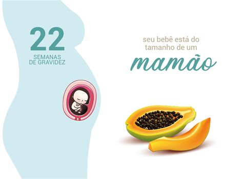 Quantos Meses São 22 Semanas