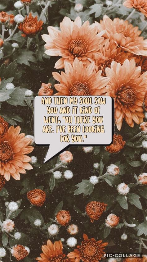 Aesthetic vintage wallpapers top free aesthetic vintage. A classy wallpaper with a vintage aesthetic design with a ...