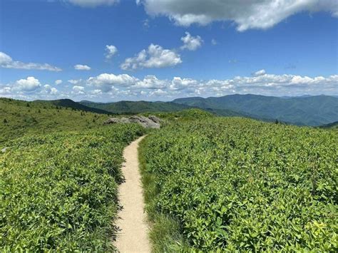 The Art Loeb Trail Is One Of The Best Mountain Hikes In North Carolina