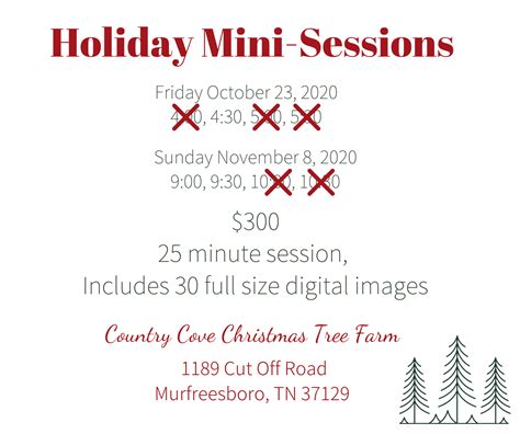 Holiday Mini Sessions At Country Cove Christmas Tree Farm