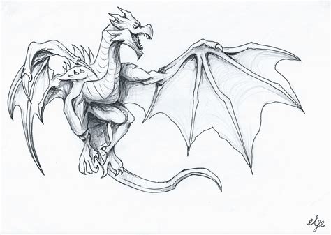 Dragon Flying Drawing Fantasy Creatures Design Bodrumwasues