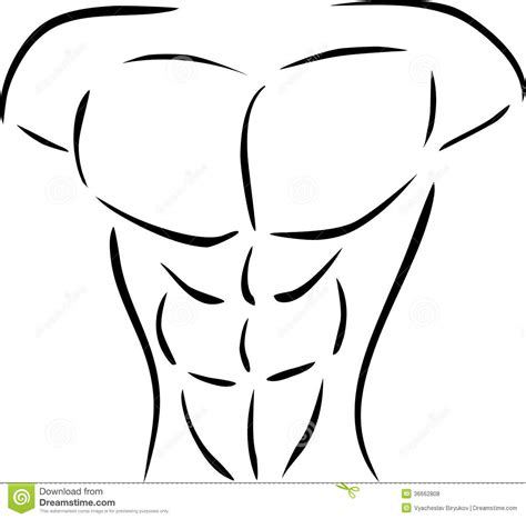 Muscular Body Stock Vector Illustration Of Strongman 36662808
