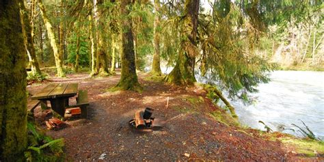 A Complete Guide To Camping In Olympic National Park Outdoor Project