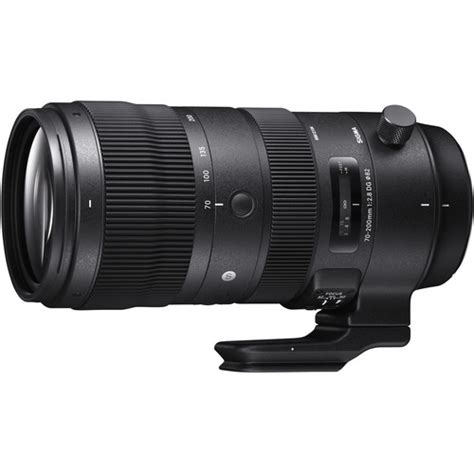 Sigma Mm F Dg Dn Sports Lens Coming In Autumn Camera Times