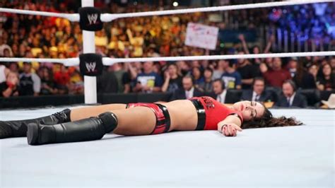 SummerSlam Brie Bella Vs Stephanie McMahon Brie Bella Stephanie Mcmahon Brie