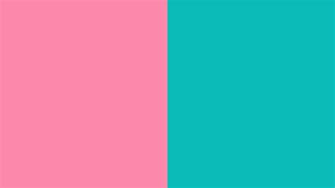 Download A Pink And Blue Color Palette With Two Different Colors