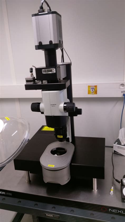 Light Sheet Microscope Lavision Biotech Research Institut Pasteur