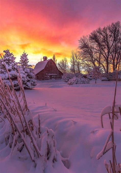 55 Fabulous Snow Images Of This Winter Season Winter Scenery Winter