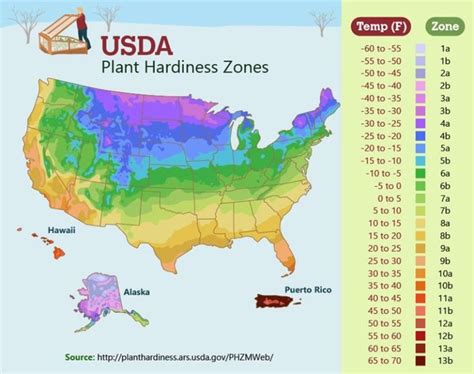 Usda Plant Hardiness Zone Map Plant Hardiness Zone Shade Plants
