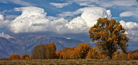 Teton Valley Falltime Photograph By Wes And Dotty Weber Pixels
