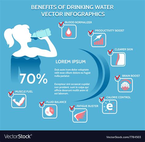 Benefits Of Drinking Water Infographics Royalty Free Vector